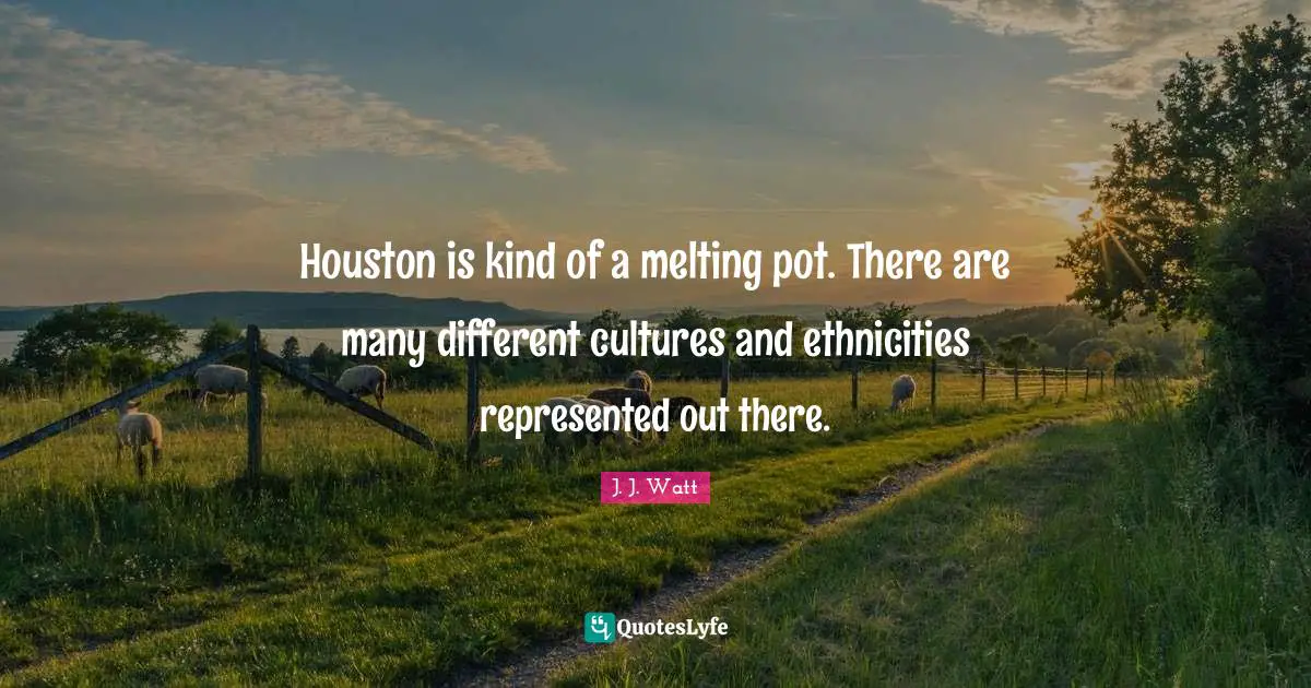 J. J. Watt Quotes: "Houston is kind of a melting pot. There are many different cultures and ethnicities represented out there."