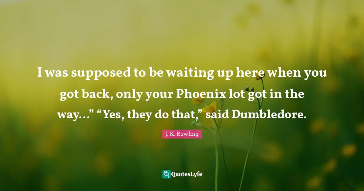 I was supposed to be waiting up here when you got back, only your Phoenix lot got in the way...” “Yes, they do that,” said Dumbledore.