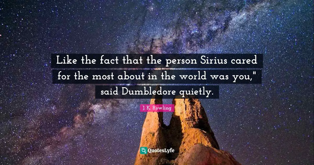 Like the fact that the person Sirius cared for the most about in the world was you," said Dumbledore quietly.