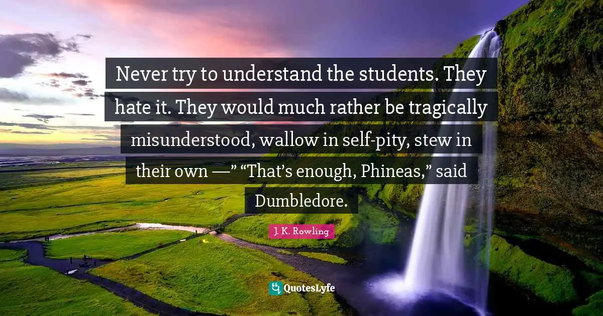 Never try to understand the students. They hate it. They would much rather be tragically misunderstood, wallow in self-pity, stew in their own —” “That’s enough, Phineas,” said Dumbledore.