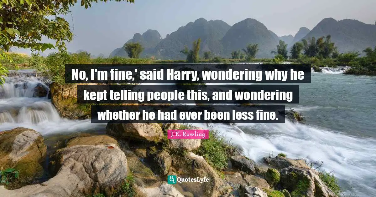 No, I'm fine,' said Harry, wondering why he kept telling people this, and wondering whether he had ever been less fine.