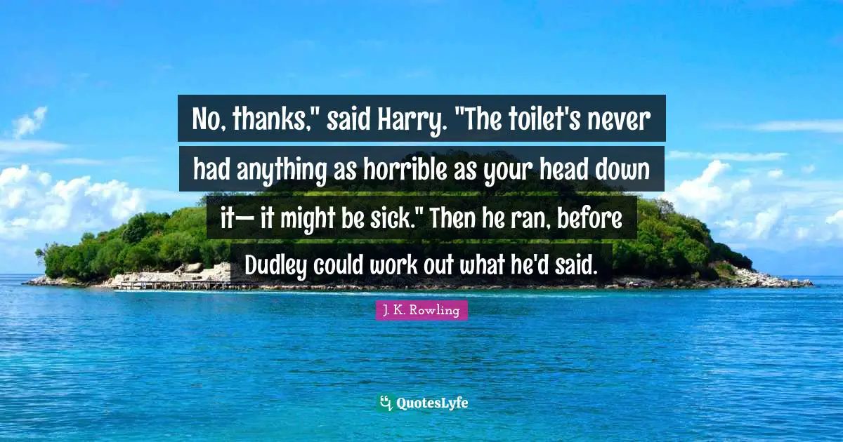 No, thanks," said Harry. "The toilet's never had anything as horrible as your head down it— it might be sick." Then he ran, before Dudley could work out what he'd said.