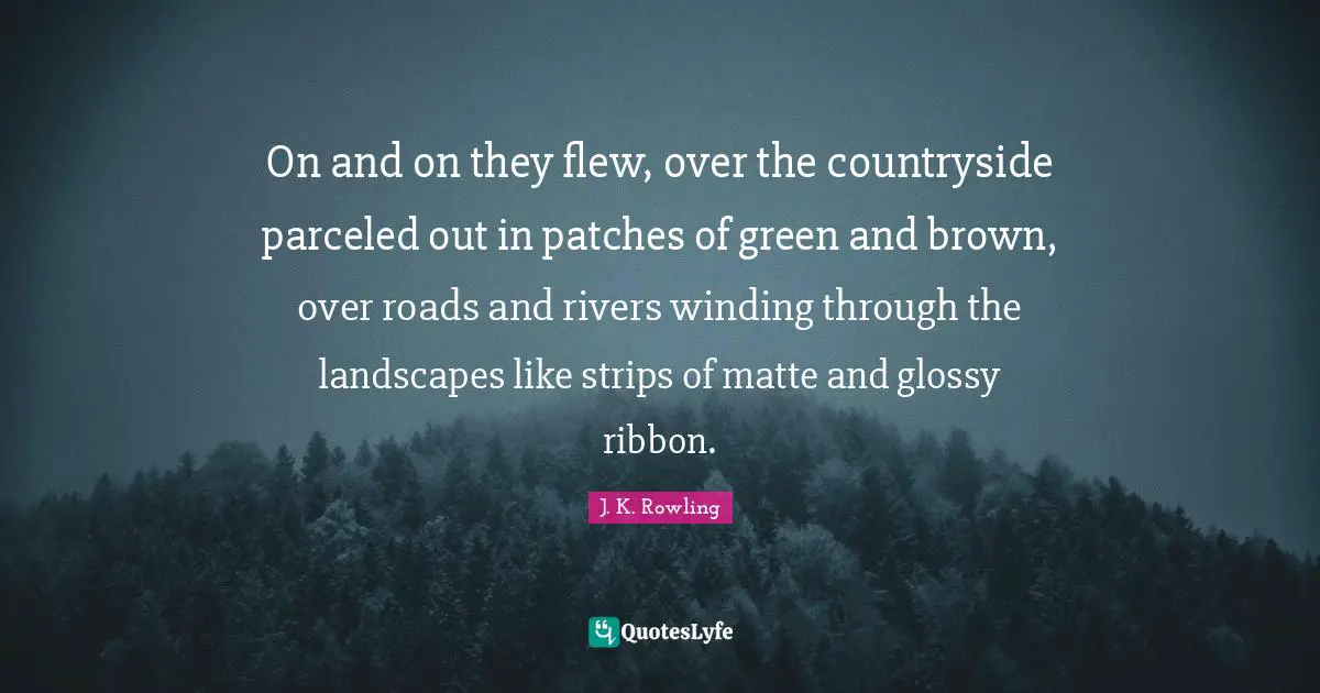 On and on they flew, over the countryside parceled out in patches of green and brown, over roads and rivers winding through the landscapes like strips of matte and glossy ribbon.