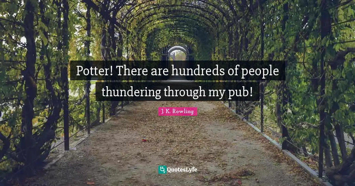 Potters Quotes: "Potter! There are hundreds of people thundering through my pub!"