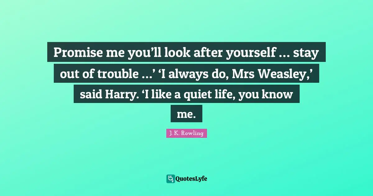 Promise me you’ll look after yourself … stay out of trouble …’ ‘I always do, Mrs Weasley,’ said Harry. ‘I like a quiet life, you know me.