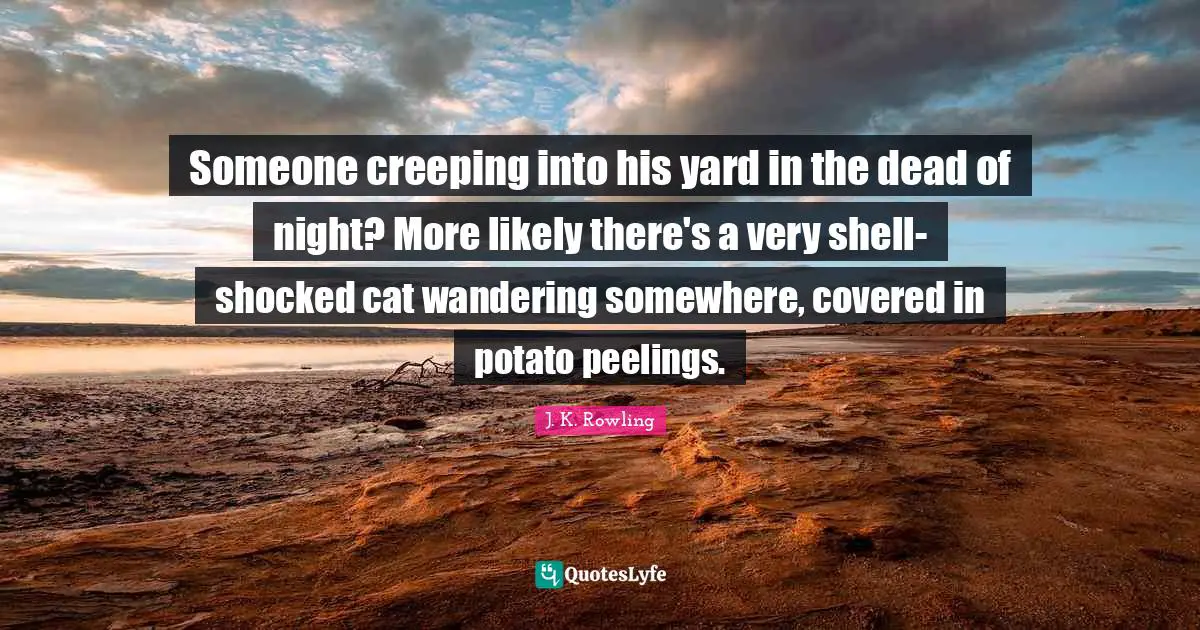 Someone creeping into his yard in the dead of night? More likely there's a very shell-shocked cat wandering somewhere, covered in potato peelings.