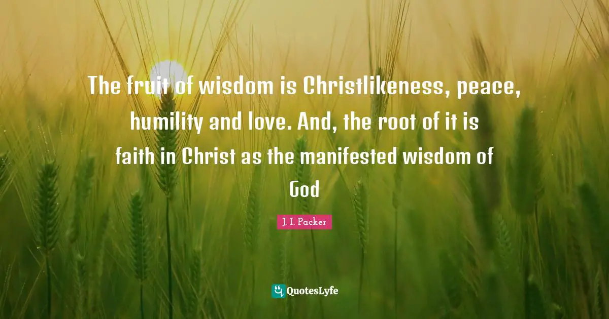 The fruit of wisdom is Christlikeness, peace, humility and love. And, the root of it is faith in Christ as the manifested wisdom of God