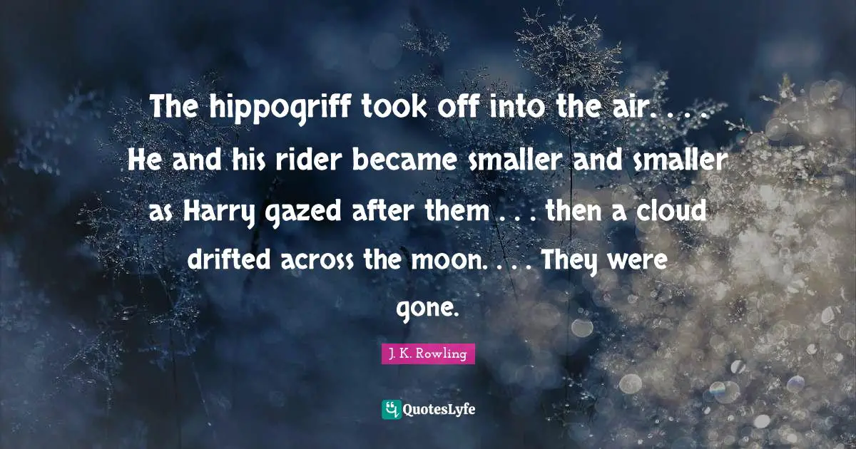 The hippogriff took off into the air. . . . He and his rider became smaller and smaller as Harry gazed after them . . . then a cloud drifted across the moon. . . . They were gone.