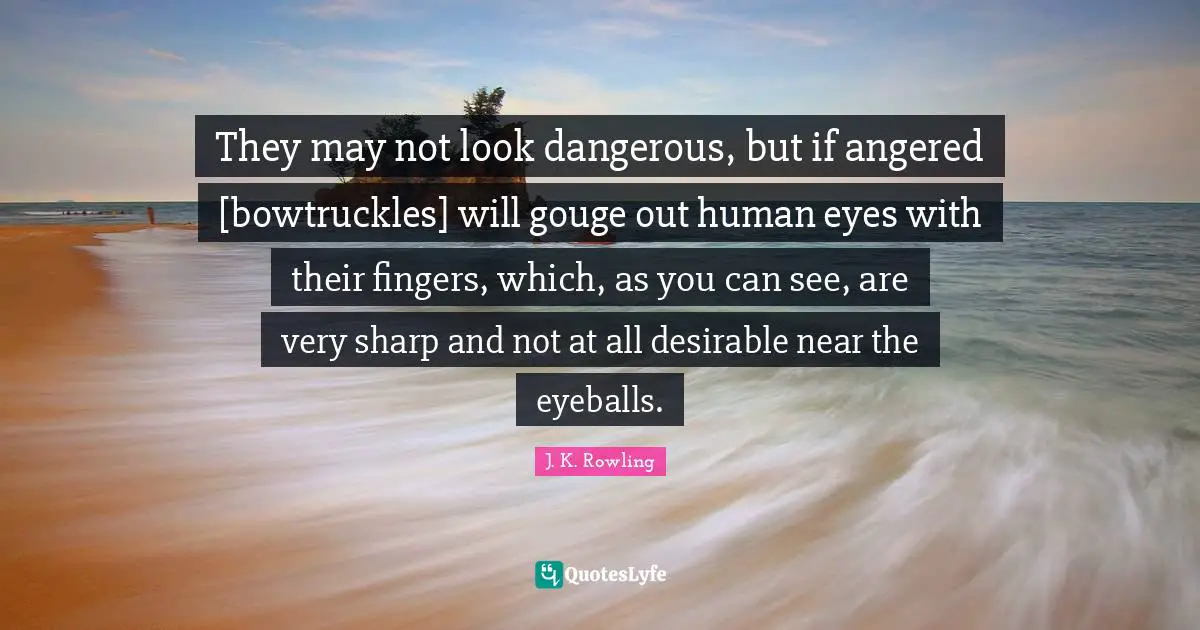 They may not look dangerous, but if angered [bowtruckles] will gouge out human eyes with their fingers, which, as you can see, are very sharp and not at all desirable near the eyeballs.