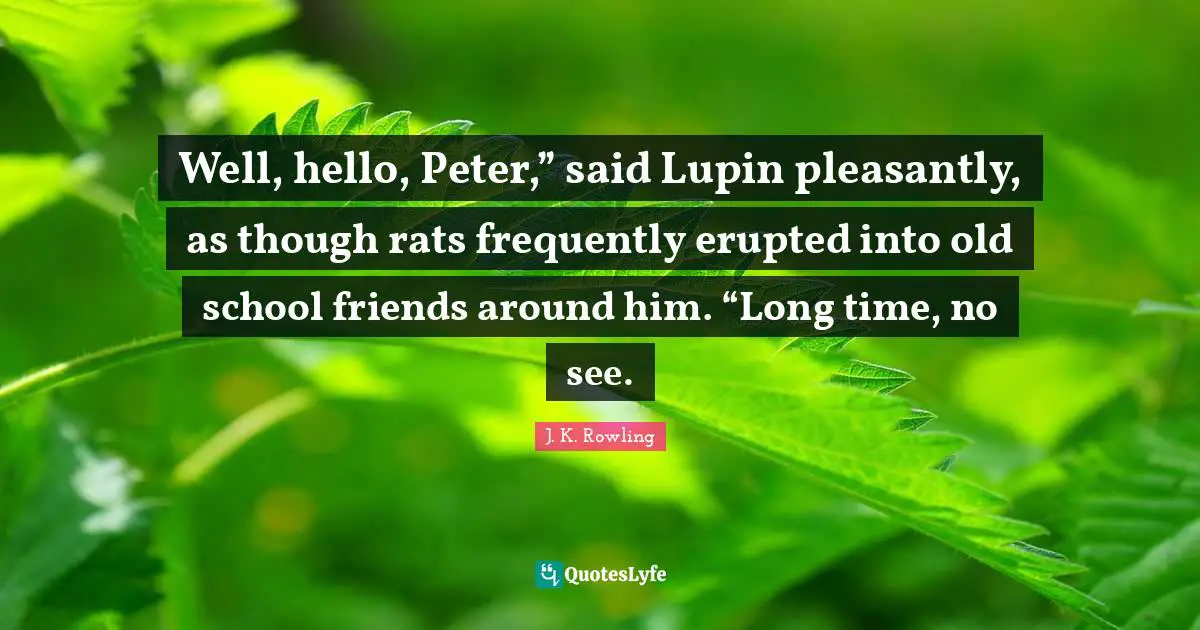 Well, hello, Peter,” said Lupin pleasantly, as though rats frequently erupted into old school friends around him. “Long time, no see.