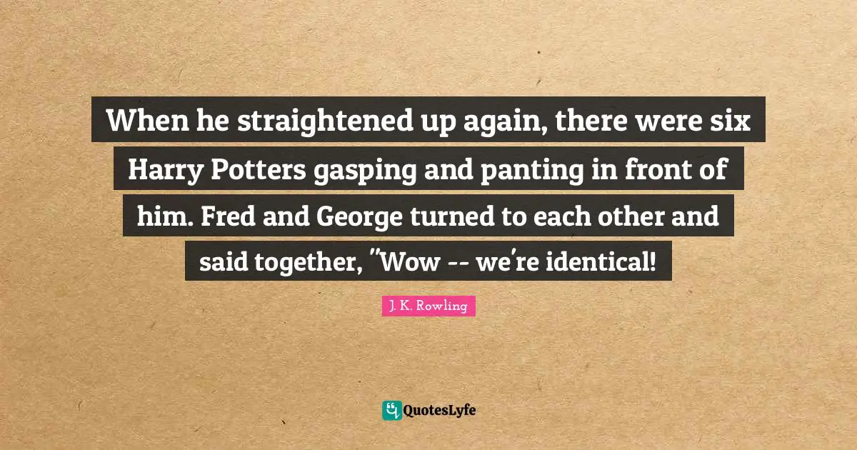 Potters Quotes: "When he straightened up again, there were six Harry Potters gasping and panting in front of him. Fred and George turned to each other and said together, "Wow -- we're identical!"