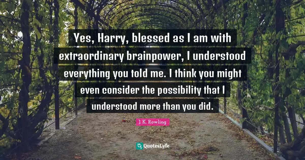 Yes, Harry, blessed as I am with extraordinary brainpower, I understood everything you told me. I think you might even consider the possibility that I understood more than you did.