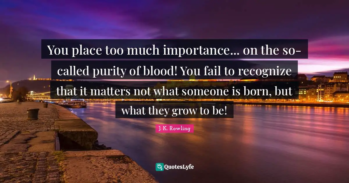Potters Quotes: "You place too much importance... on the so-called purity of blood! You fail to recognize that it matters not what someone is born, but what they grow to be!"
