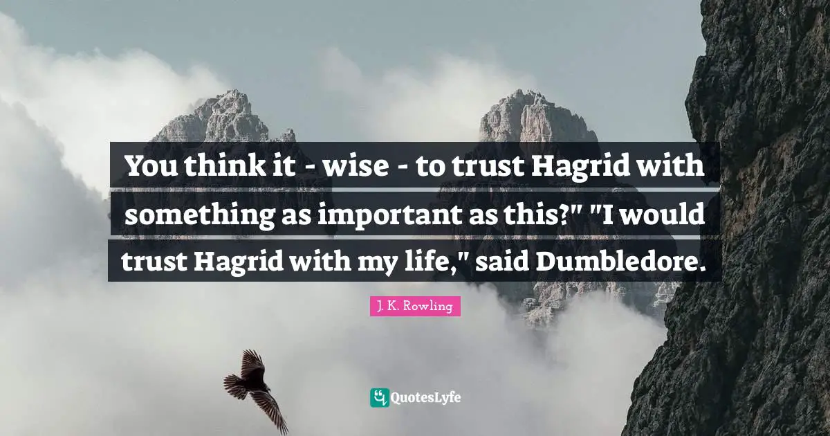 You think it - wise - to trust Hagrid with something as important as this?" "I would trust Hagrid with my life," said Dumbledore.