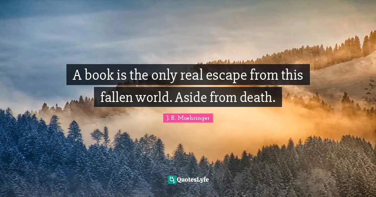 A book is the only real escape from this fallen world. Aside from death.