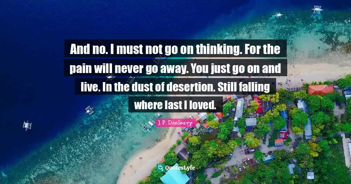 And no. I must not go on thinking. For the pain will never go away. You just go on and live. In the dust of desertion. Still falling where last I loved.