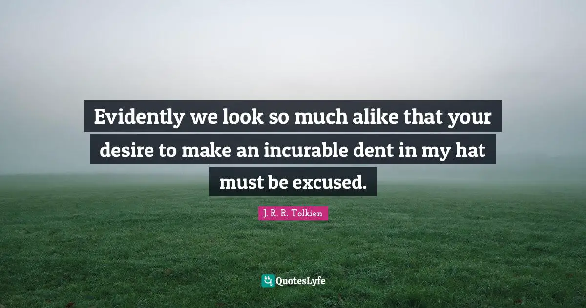 Evidently we look so much alike that your desire to make an incurable dent in my hat must be excused.