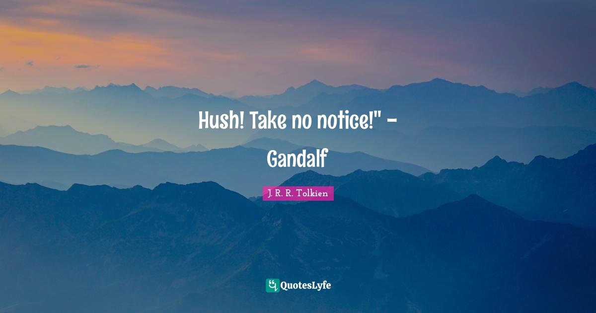 Hush! Take no notice!" - Gandalf