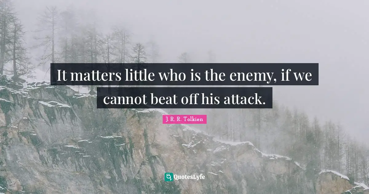 It matters little who is the enemy, if we cannot beat off his attack.