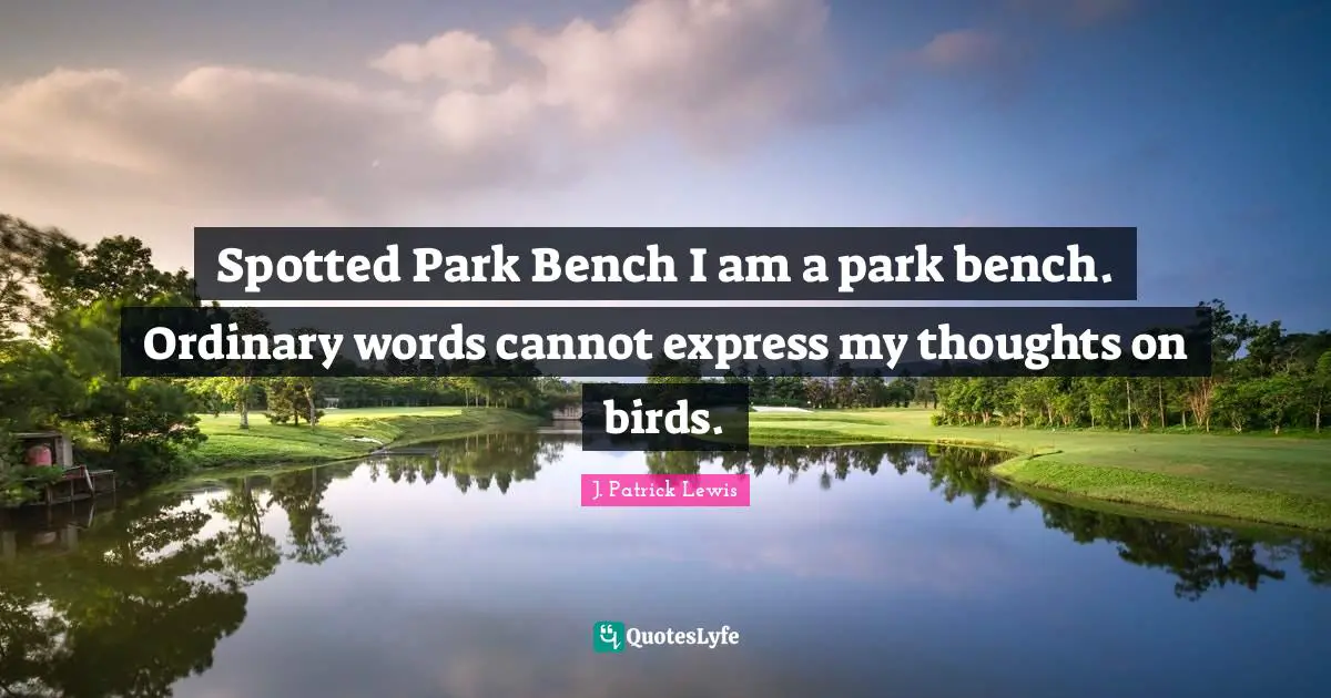 Spotted Park Bench I am a park bench. Ordinary words cannot express my thoughts on birds.