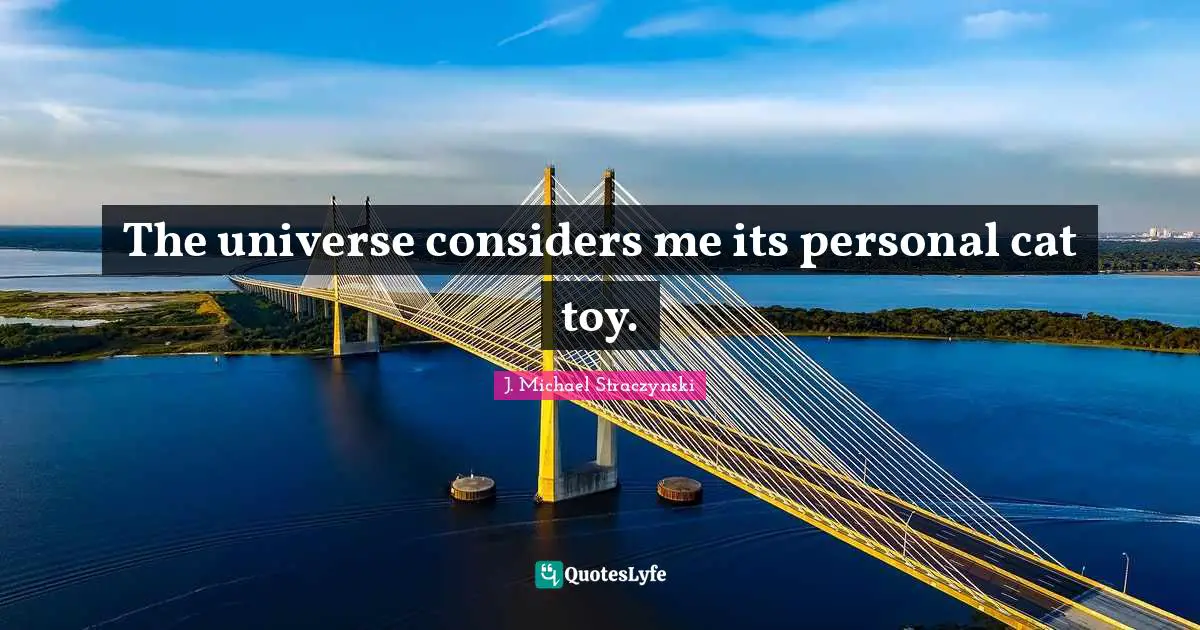 The universe considers me its personal cat toy.