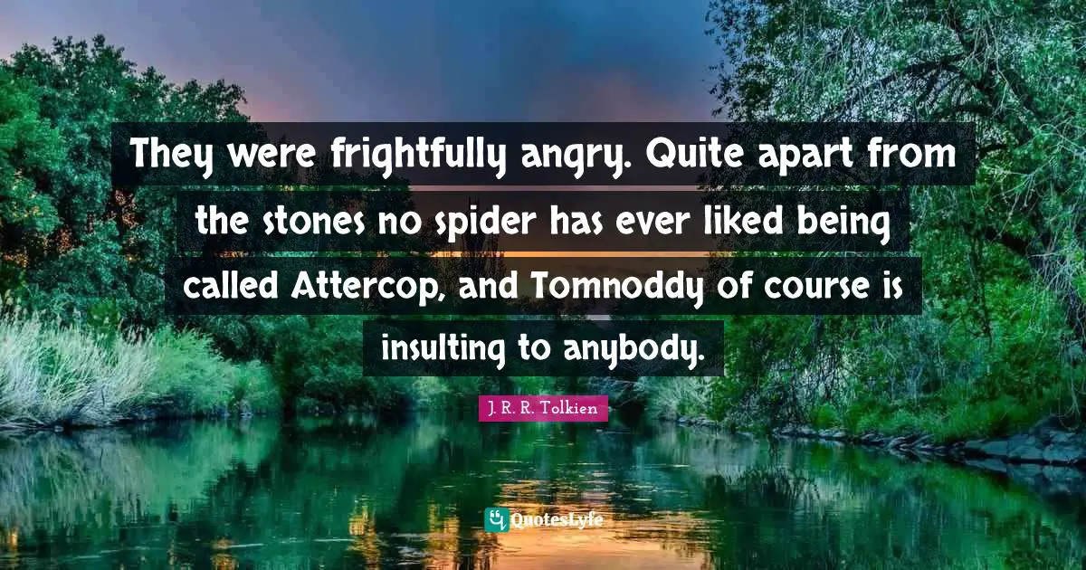 They were frightfully angry. Quite apart from the stones no spider has ever liked being called Attercop, and Tomnoddy of course is insulting to anybody.