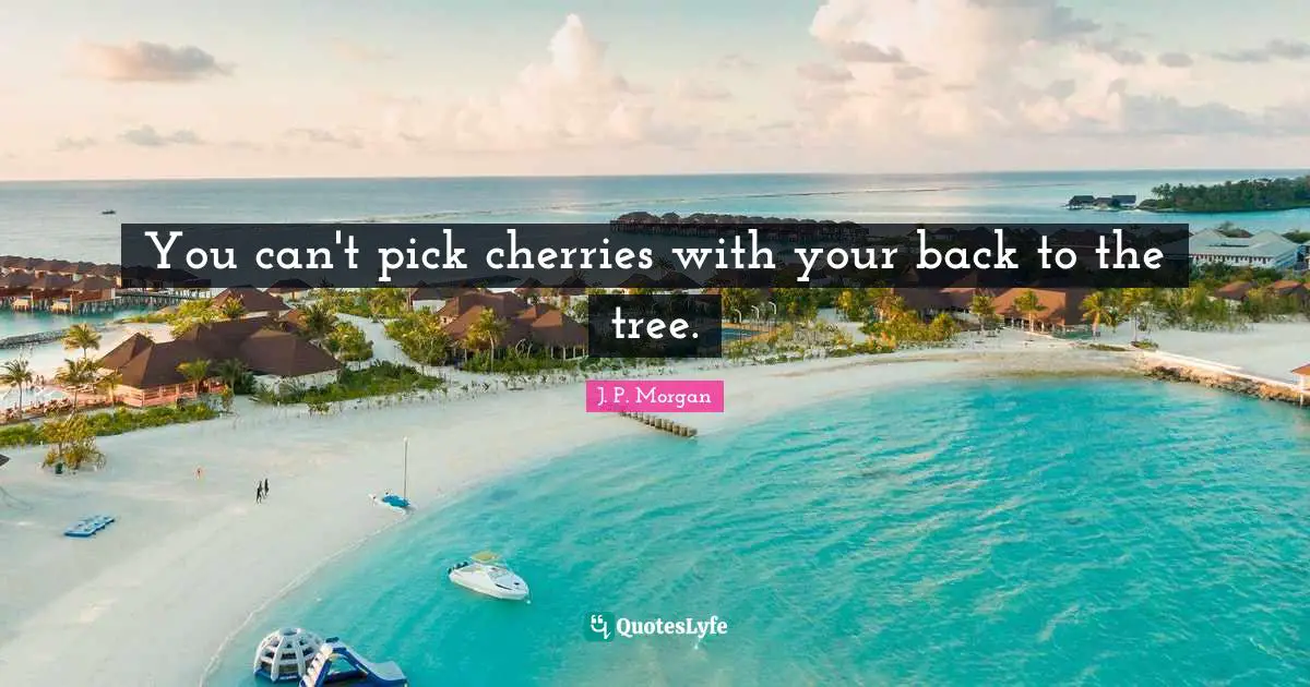 You can't pick cherries with your back to the tree.
