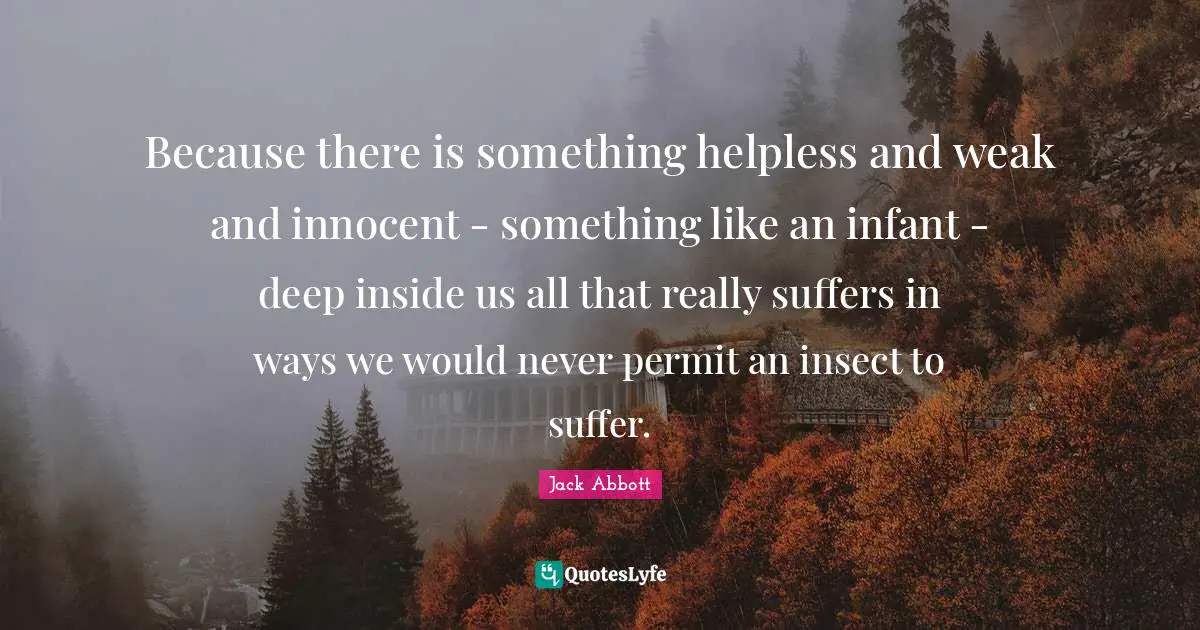 Because there is something helpless and weak and innocent - something like an infant - deep inside us all that really suffers in ways we would never permit an insect to suffer.