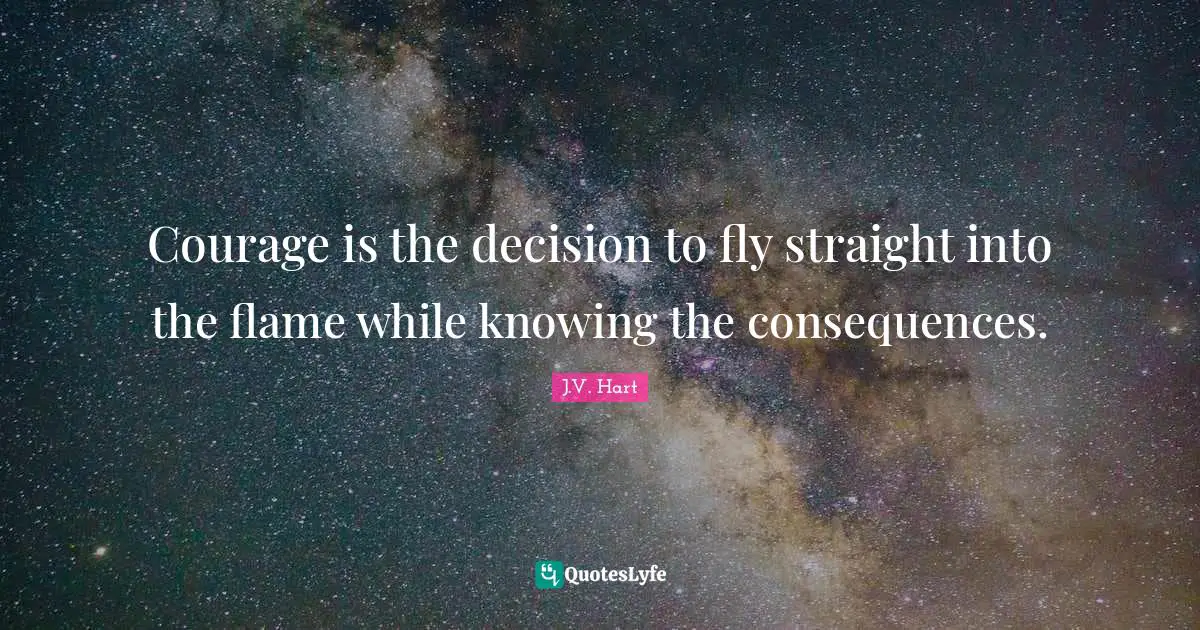 Courage is the decision to fly straight into the flame while knowing the consequences.