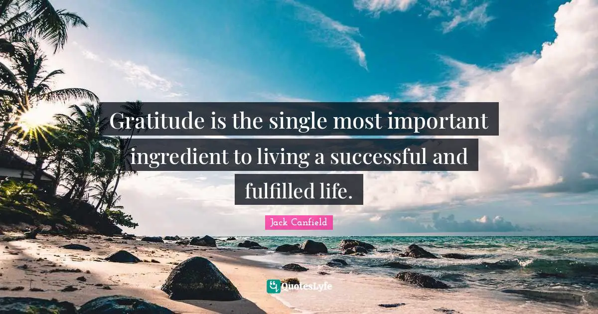 Gratitude is the single most important ingredient to living a successful and fulfilled life.