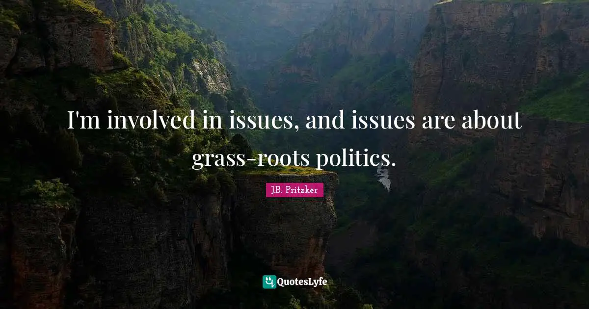I'm involved in issues, and issues are about grass-roots politics.