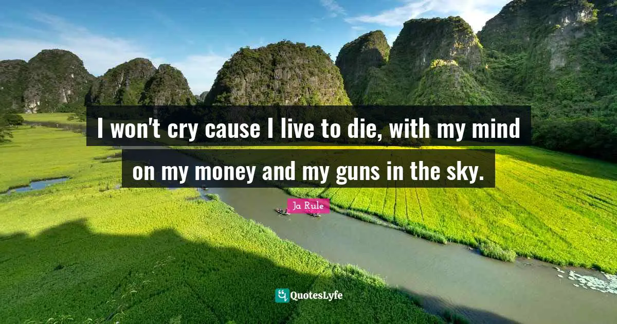 I won't cry cause I live to die, with my mind on my money and my guns in the sky.