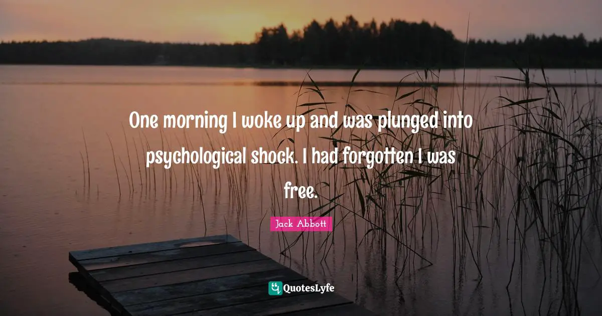 One morning I woke up and was plunged into psychological shock. I had forgotten I was free.
