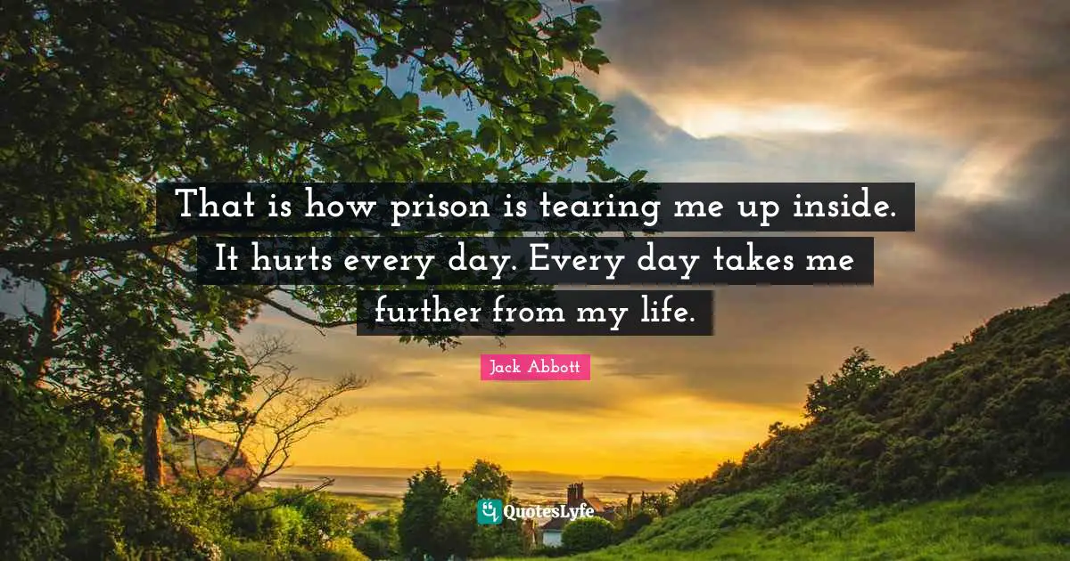 That is how prison is tearing me up inside. It hurts every day. Every day takes me further from my life.