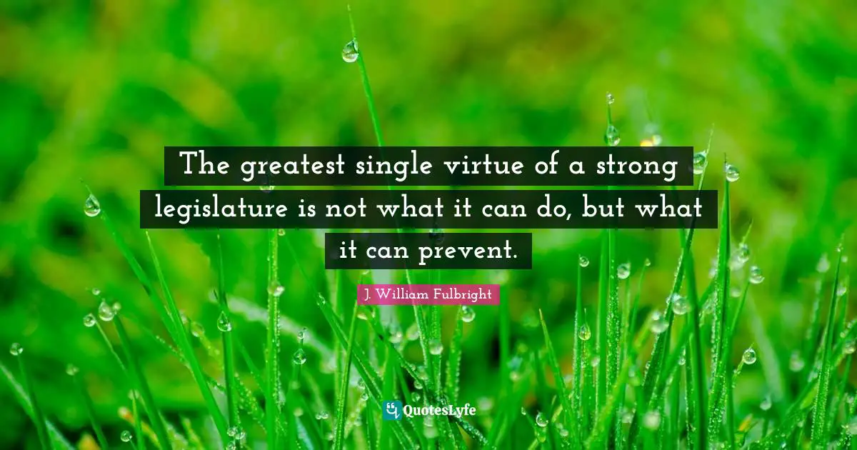 The greatest single virtue of a strong legislature is not what it can do, but what it can prevent.