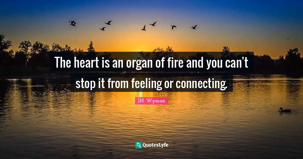 J.H. Wyman Quotes: "The heart is an organ of fire and you can't stop it from feeling or connecting."