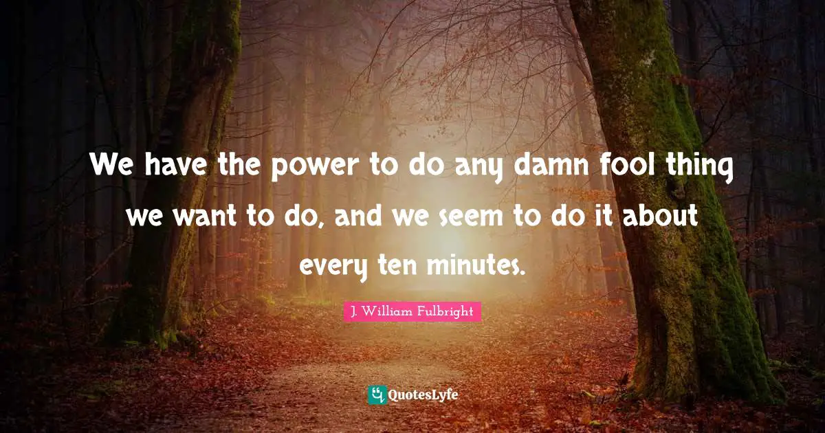 We have the power to do any damn fool thing we want to do, and we seem to do it about every ten minutes.
