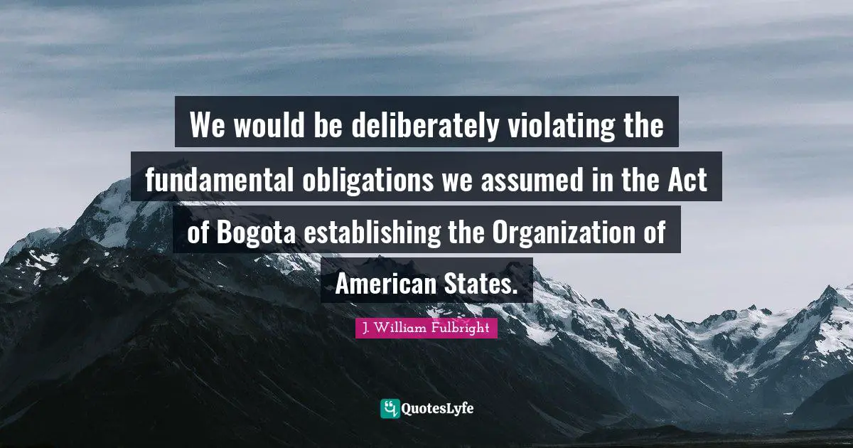 We would be deliberately violating the fundamental obligations we assumed in the Act of Bogota establishing the Organization of American States.