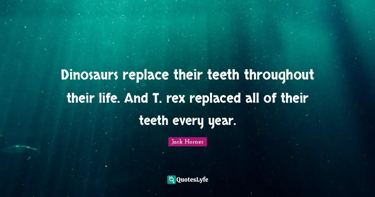 Dinosaurs replace their teeth throughout their life. And T. rex replaced all of their teeth every year.