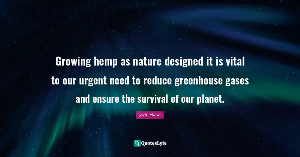 Jack Herer Quotes: Growing hemp as nature designed it is vital to our urgent need to reduce greenhouse gases and ensure the survival of our planet.