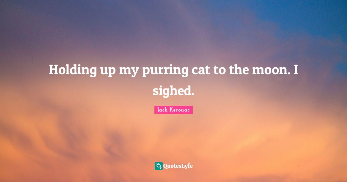 Holding up my purring cat to the moon. I sighed.