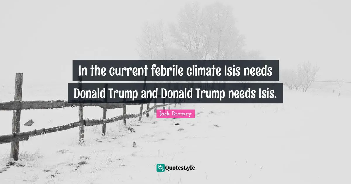 In the current febrile climate Isis needs Donald Trump and Donald Trump needs Isis.
