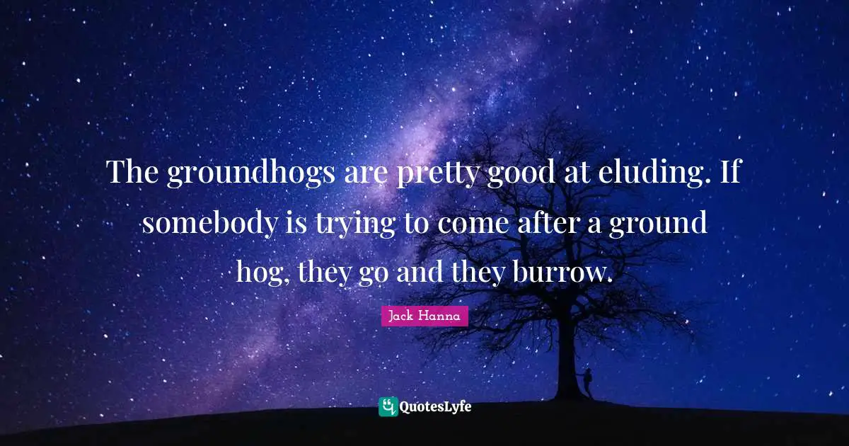 Hog Quotes: "The groundhogs are pretty good at eluding. If somebody is trying to come after a ground hog, they go and they burrow."