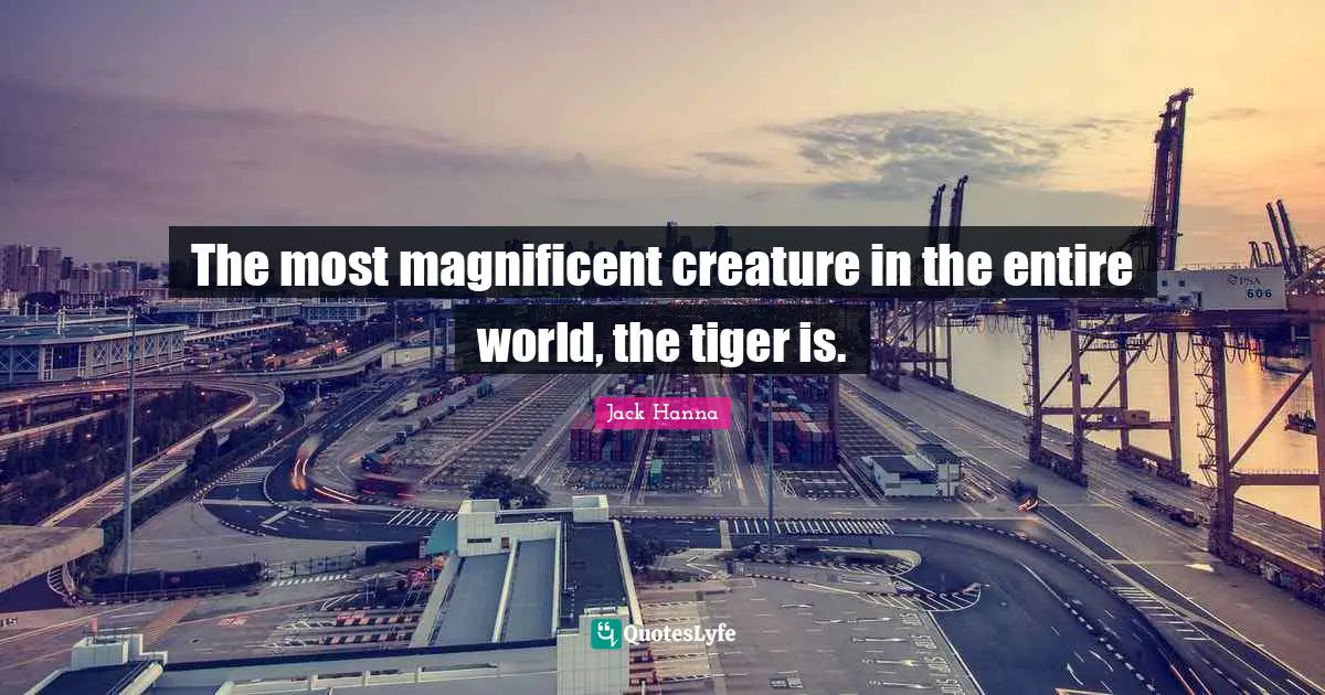 The most magnificent creature in the entire world, the tiger is.