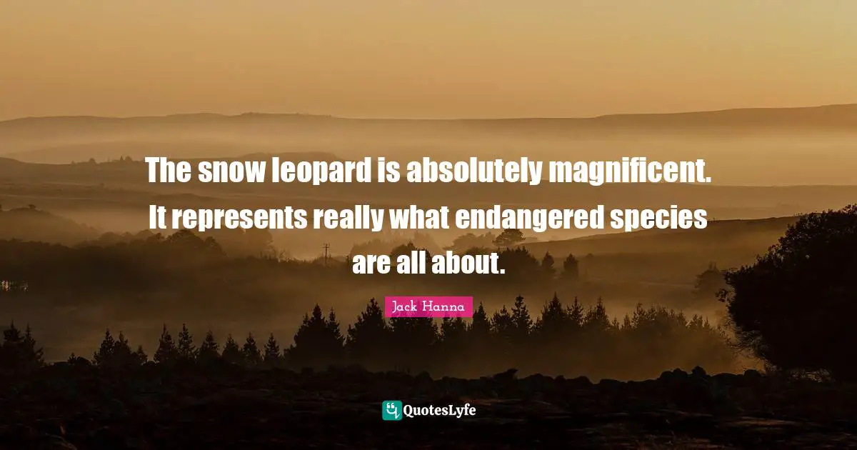 Leopards Quotes: "The snow leopard is absolutely magnificent. It represents really what endangered species are all about."