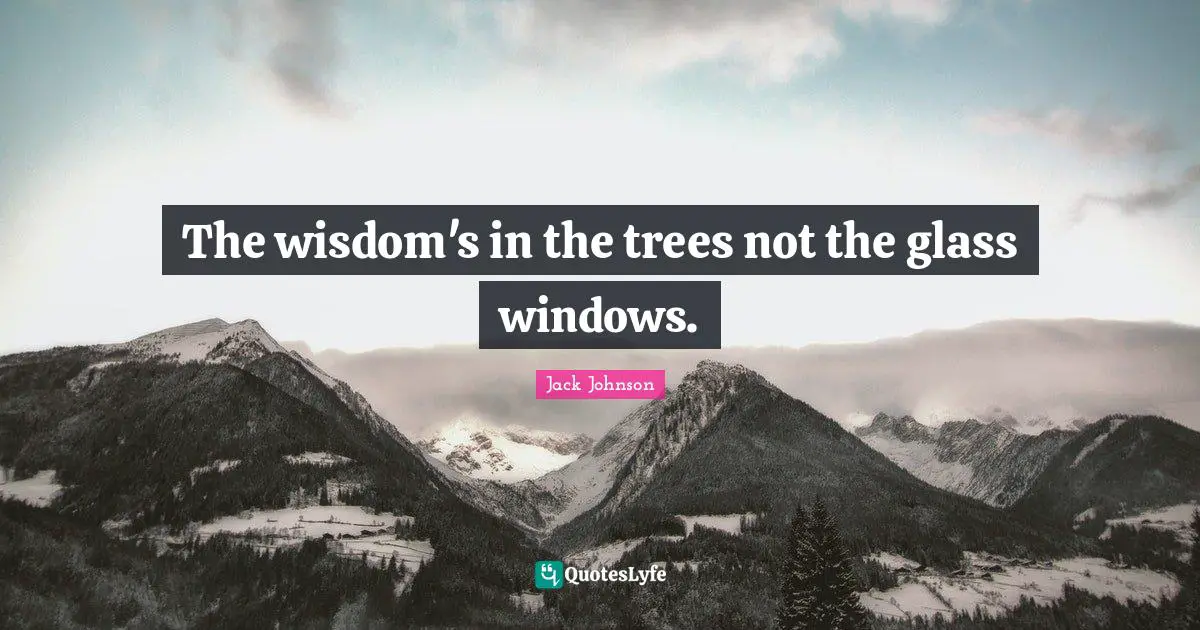 The wisdom's in the trees not the glass windows.
