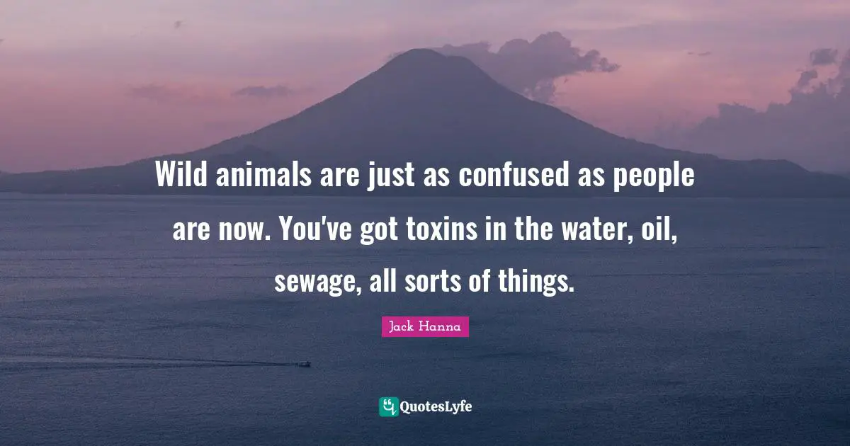Wild animals are just as confused as people are now. You've got toxins in the water, oil, sewage, all sorts of things.