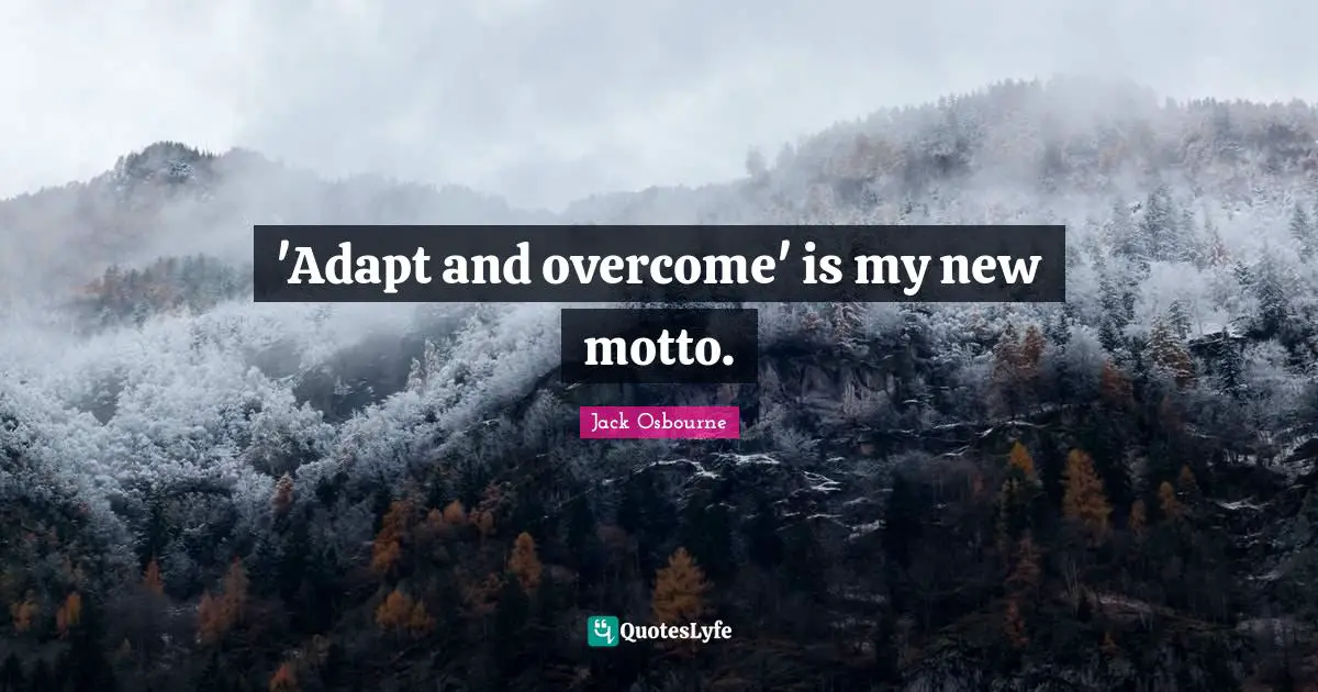 'Adapt and overcome' is my new motto.