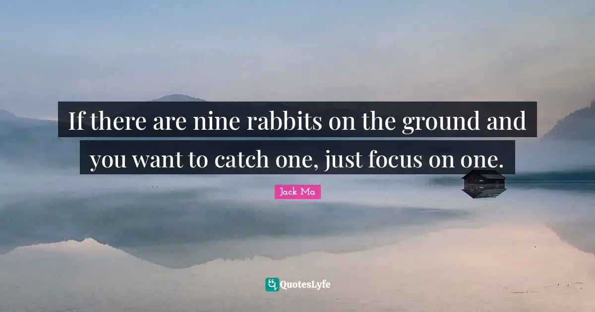 If there are nine rabbits on the ground and you want to catch one, just focus on one.