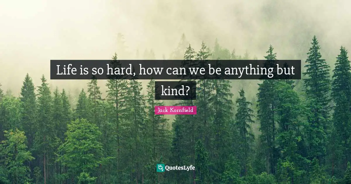 Life is so hard, how can we be anything but kind?